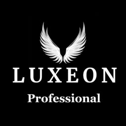 Dealer Car Listings – Professional Plan